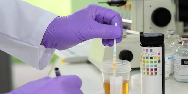 Best synthetic urine