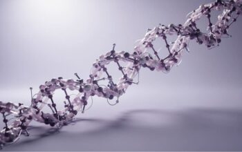 Understanding Molecular Structures Through Synthetic Peptide Characterisation Research