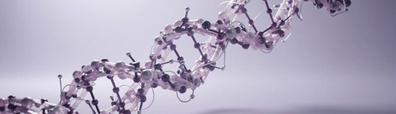 Understanding Molecular Structures Through Synthetic Peptide Characterisation Research